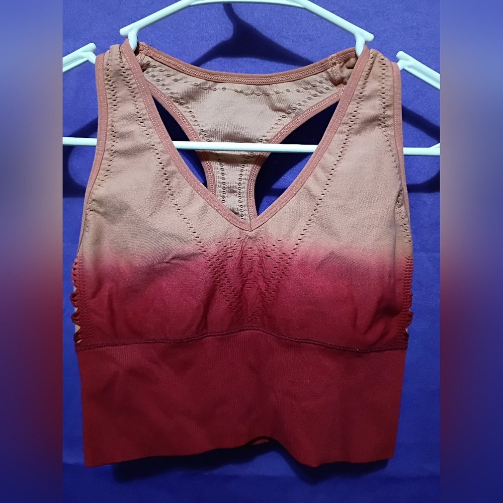 PINK by VS Ombre Racerback Sports Bra